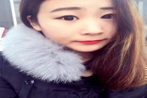 机动武斗传g高达